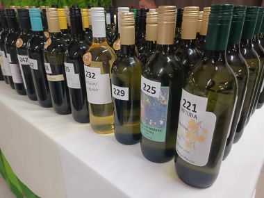 250124_izlozba Ludbreg_4.jpg