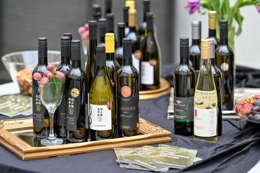 Otvori galeriju vina_varazdinska_zupanija_decanter 1.jpg