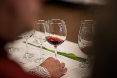 Otvori galeriju vina_varazdinska_zupanija_decanter 3.jpg