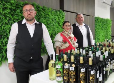 izlozba_vina_ludbreg_2023 9.JPG