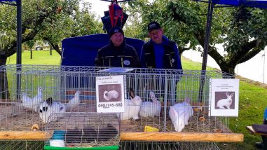 Otvori galeriju 051025-ciselska-nedela-marusevec-011.jpg