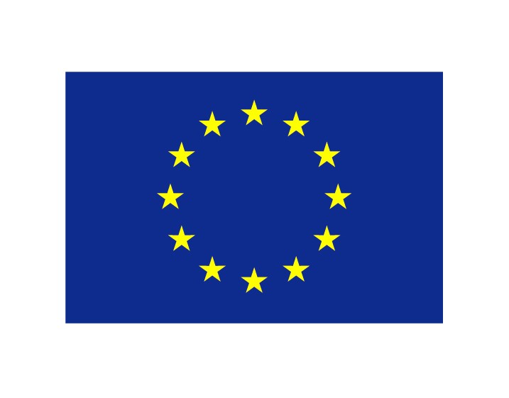 eu flag
