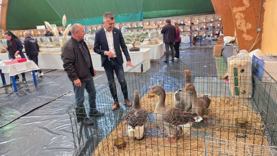Više od 1.000 malih životinja na međunarodnoj izložbi u Varaždinu