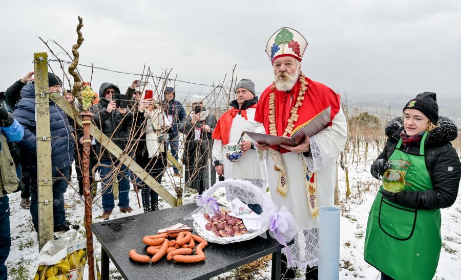 Proslavom Vincekova u Brezničkom Humu simbolično otvorena nova vinogradarska sezona