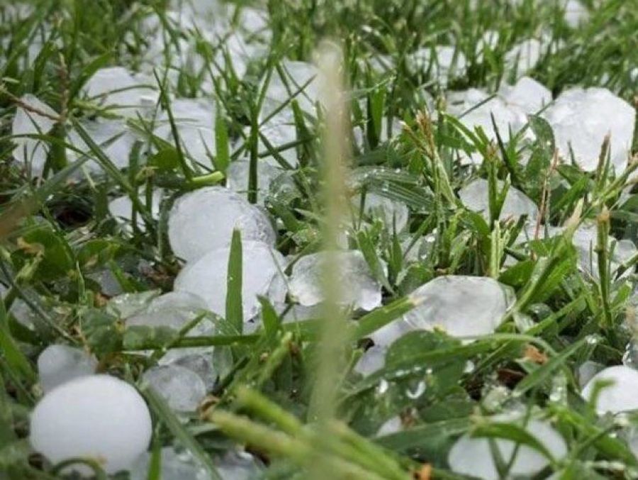 Objavljen Javni poziv za dodjelu potpora gospodarstvenicima za ublažavanje &scaron;teta od tuče