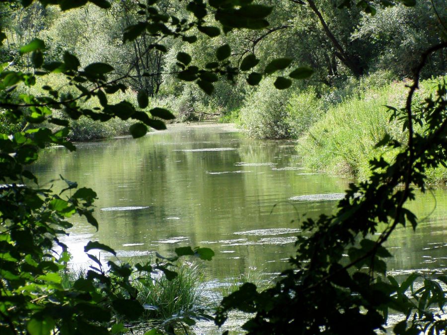 UNESCO proglasio Prekogranični rezervat biosfere Mura-Drava-Dunav - prvi u svijetu petodržavni rezervat biosfere